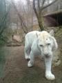 ZOO Liberec